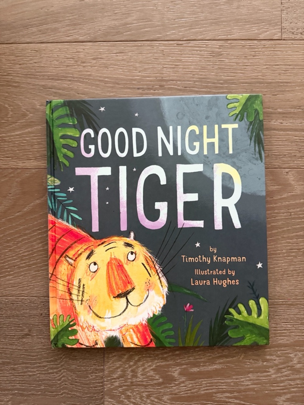 Goodnight Tiger book. Gently Used.